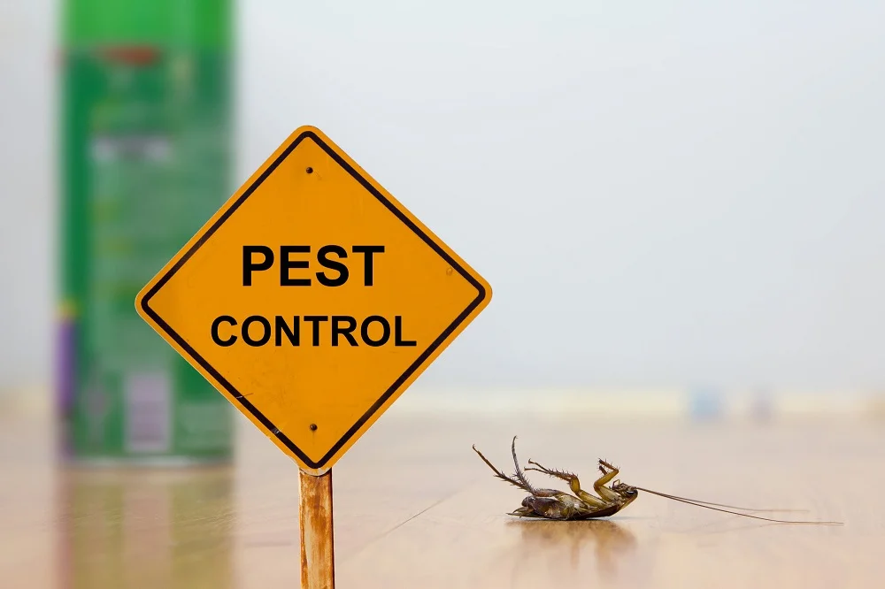 General Pest Control Services
