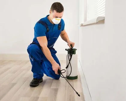 Termite Control Services