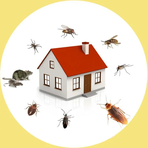 Pest Control Services