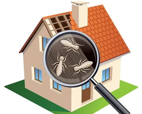Residential Pest Control Services